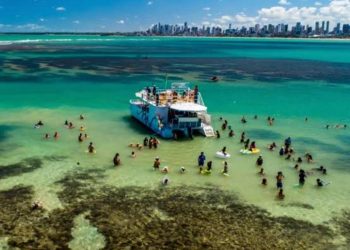 Fashion Story: From the Catwalk to Your Closet