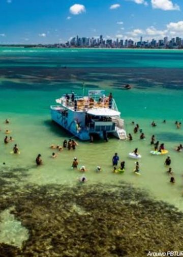 Fashion Story: From the Catwalk to Your Closet