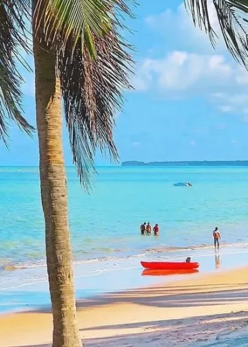 Fashion Story: From the Catwalk to Your Closet